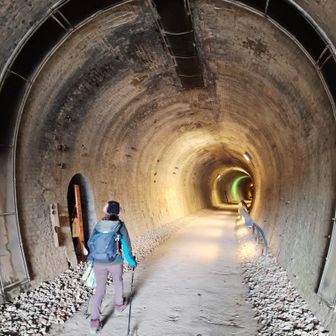 🚇ドッキドキー…