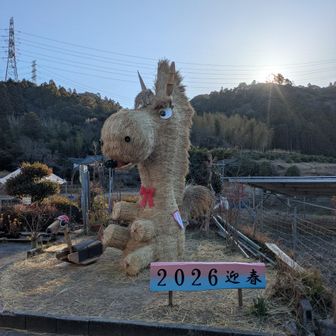 かなりでかい。