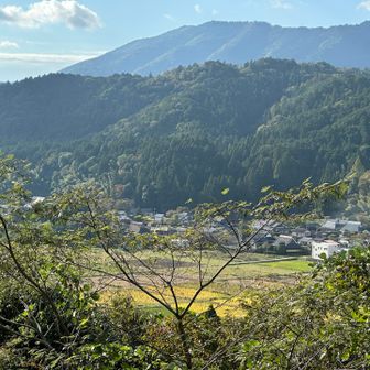 府道1号線側
