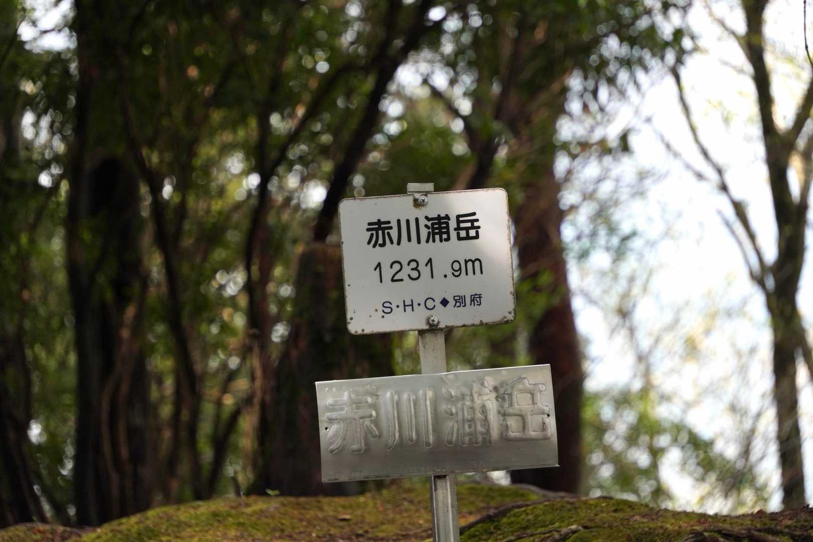 山頂🙌