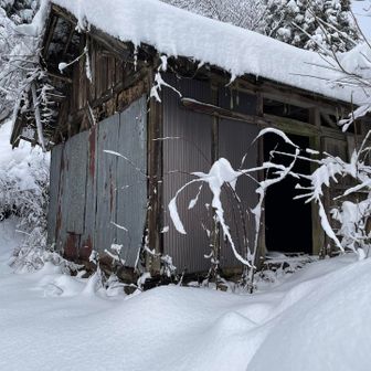 小屋🛖目印になります。