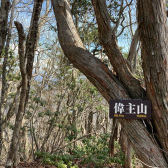 なんと読むのか、ここに来て判明、いぬやま
その先にネコ峠あり