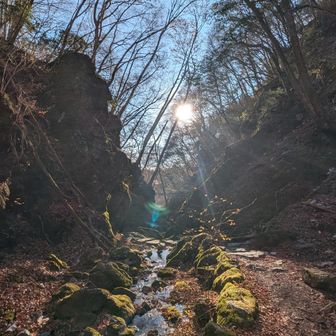 ロックガーデン、朝日もきれい