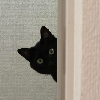 チヒロ