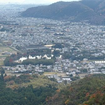 大覚寺ズームアップ