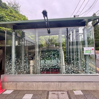 かわいらしいモノレール『アスカルゴ』
なんと無料✨
保育園児のかわい子ちゃんたちと一緒に乗らせていただきました