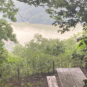 展望所から相模湖