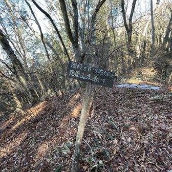 階段？…結局見つけられなかった