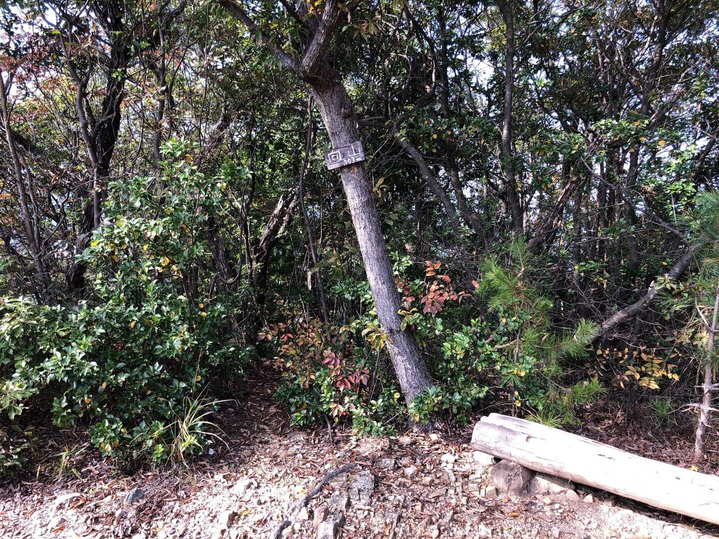 向山の写真