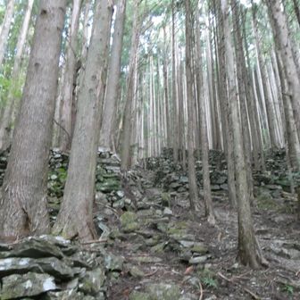この上から右に