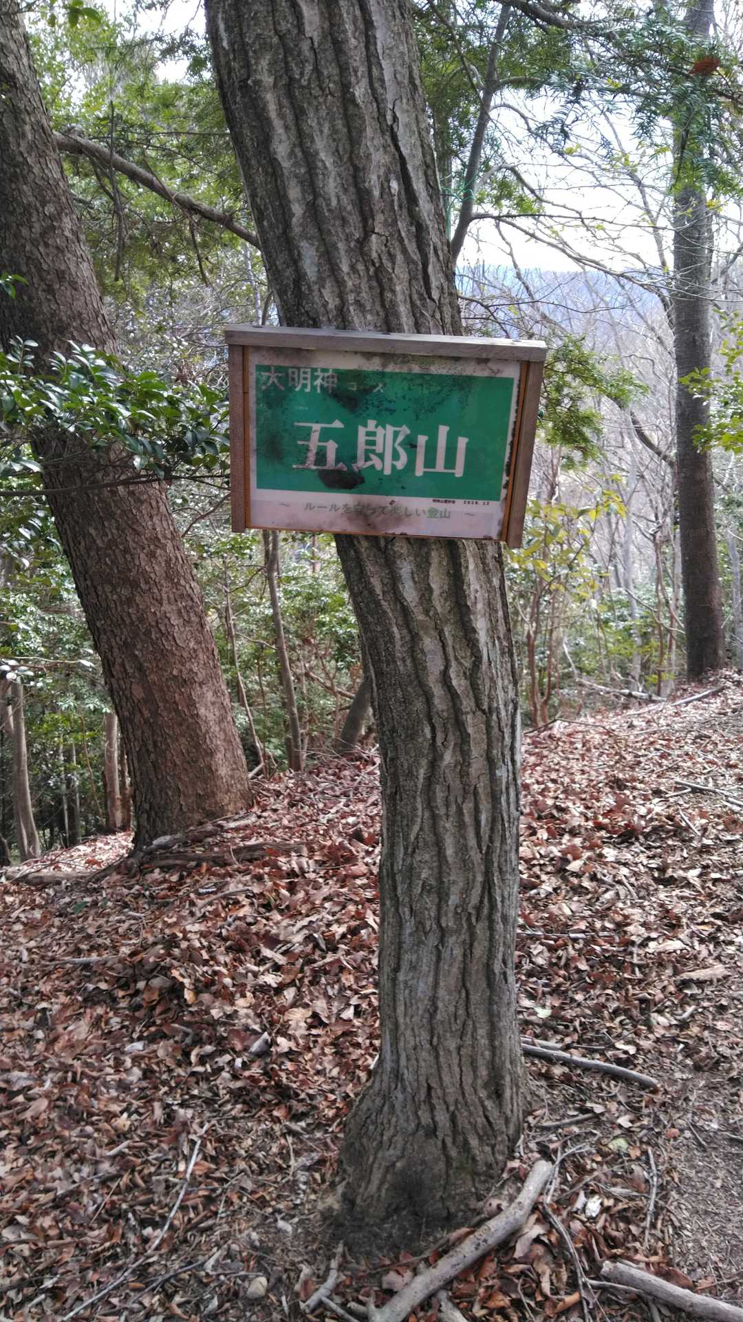 楽しいです
下りで汗かきます