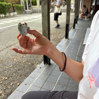 ひと休み　ウマウマ。