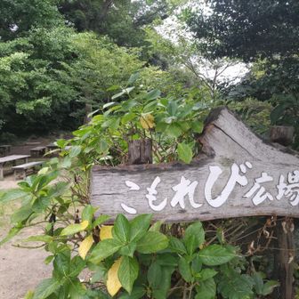 葛原岡神社でお参りして
こちらでコーヒー入れてゆっくり☕️
至福のひととき