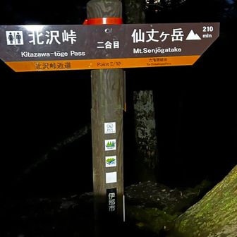 ここでバス停からの登山道と合流