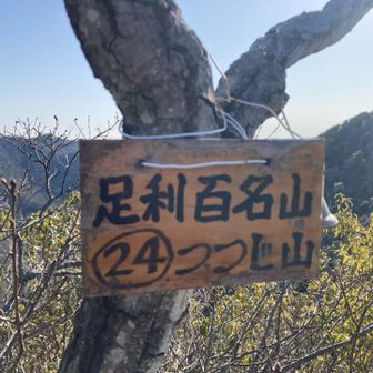 つつじ山山頂は足百中でかなり好きな方。
