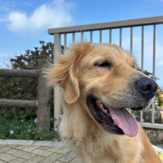 山頂は風があって癖毛もひらひら〜
