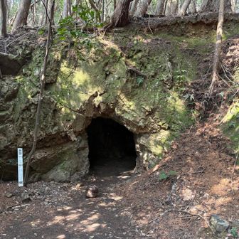 ここ、怖くて近づけなかったんだけど