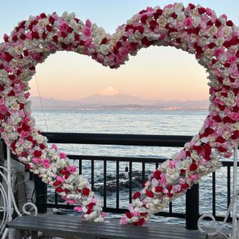 とりあえず行ってみた