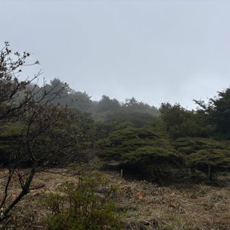 微かに硫化水素のにおいした
