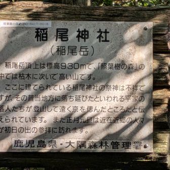 今日元旦なんですがw誰も初日の出見に来てないぞ。駐車場には車1台、ビジターセンターの人のっぽい