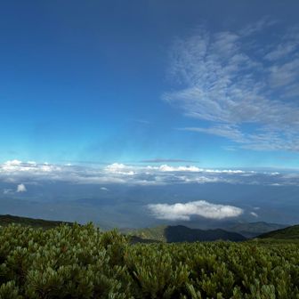良い天気になってきた