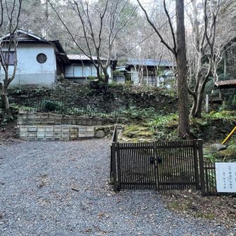 祐泉寺まで下りてきました😄