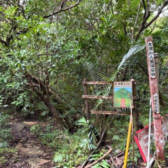 杖をお借りします