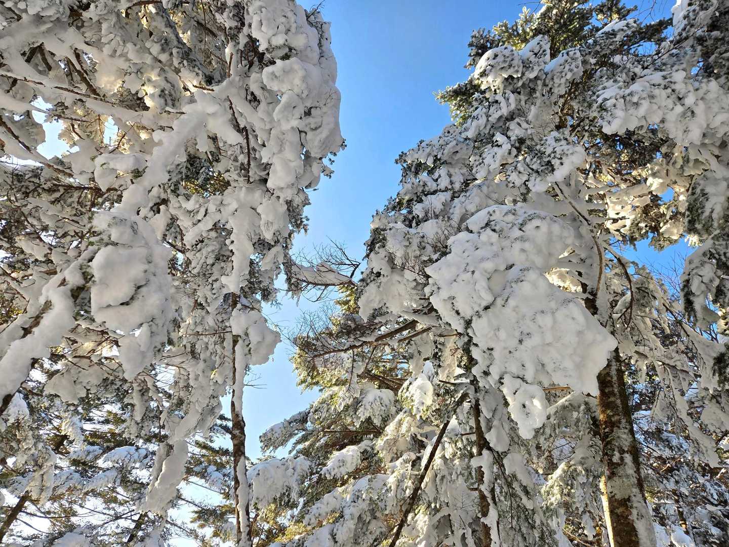 ❄
