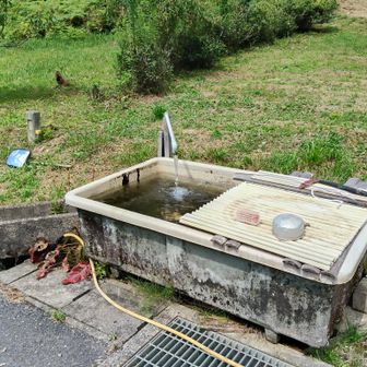 福地峠に到着
水場があって冷たくて気持ち良かったよ❗️