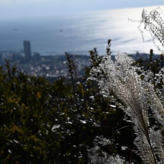 ご容赦ください🌾
やはりもう少し勉強します📷