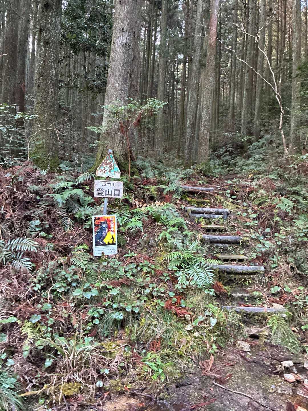 今日はソロです。
宜しくお願いします🙇
