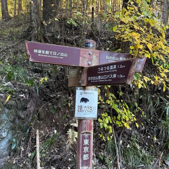 あー、今日ももうお終い。あっという間でした。