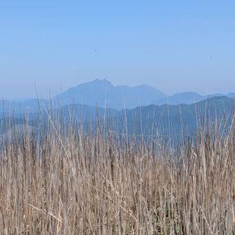 由布岳