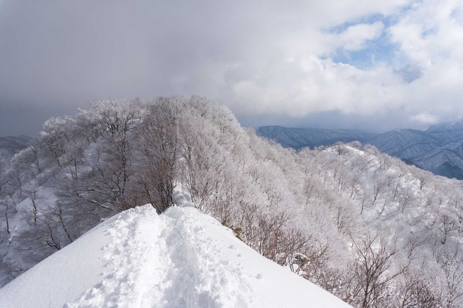 景色を眺めて満足したので下山します😉