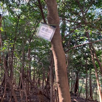 栗原山に着きました⛰️
