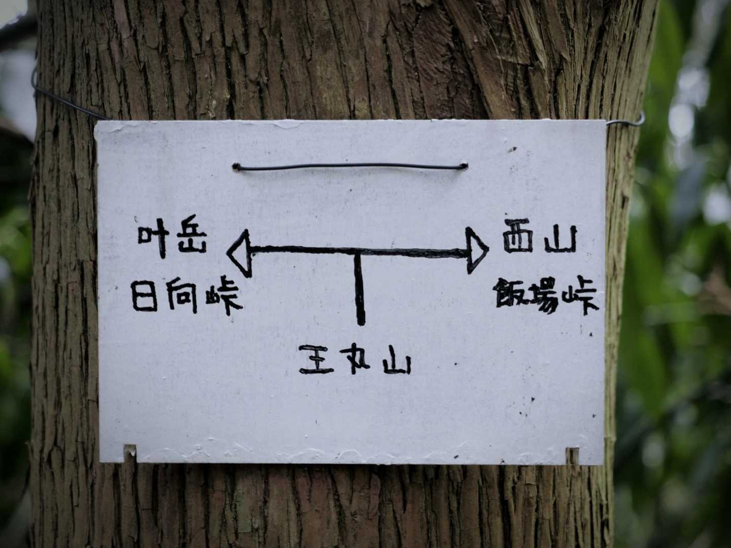 西山から叶岳
うん いけそう
φ(..)