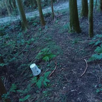 初瀬山登り口