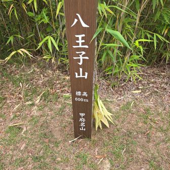 ここも誰もいないw