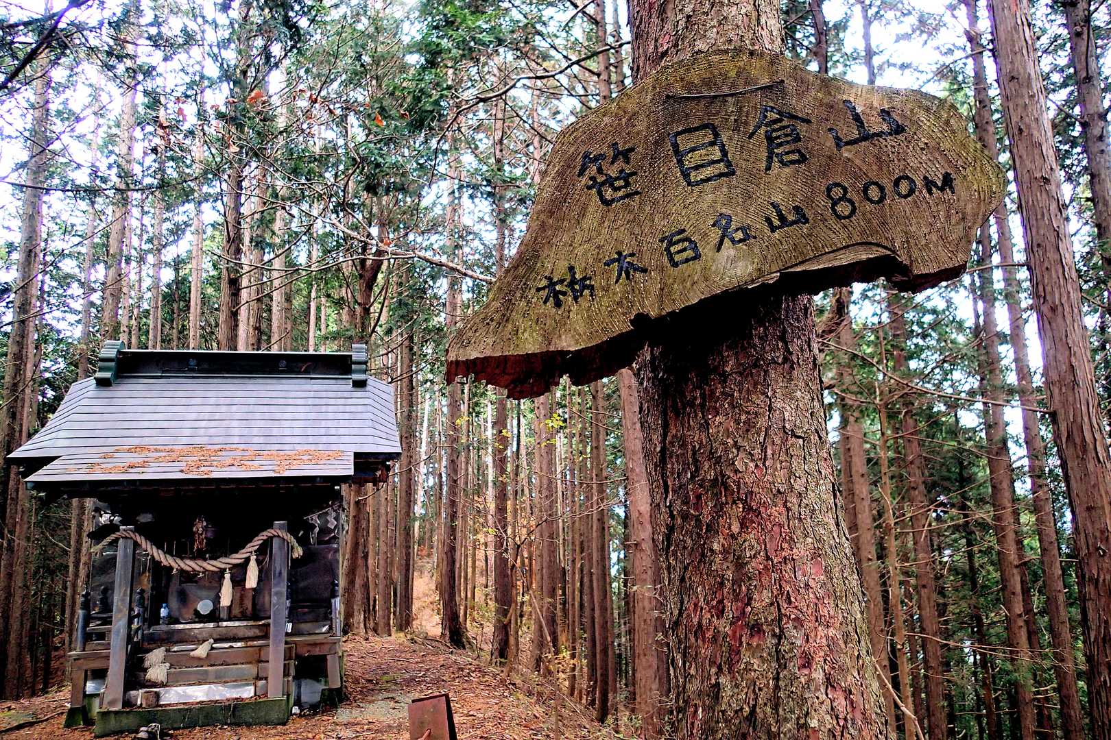 急登に喘いでいると…
本日2座目 笹目倉山に到着ッ🗻