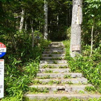 ここから入山する