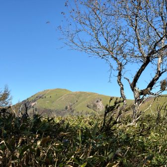 三峰山が見えて来たー😅
まだまだ、遠そうだけど
稜線歩きがつづきますよー、快適