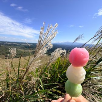 ススキ🌾といえばの🍡持ってきた。
🌸桜の春
❄️雪の冬
🟢万緑の夏
秋の赤はなく、秋ない→飽きない。
お団子の3色の由来。