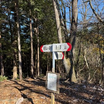 コヤシロ山を降りてから急登小ピークの連続💦
要害山偽ピークに何回も騙される😭