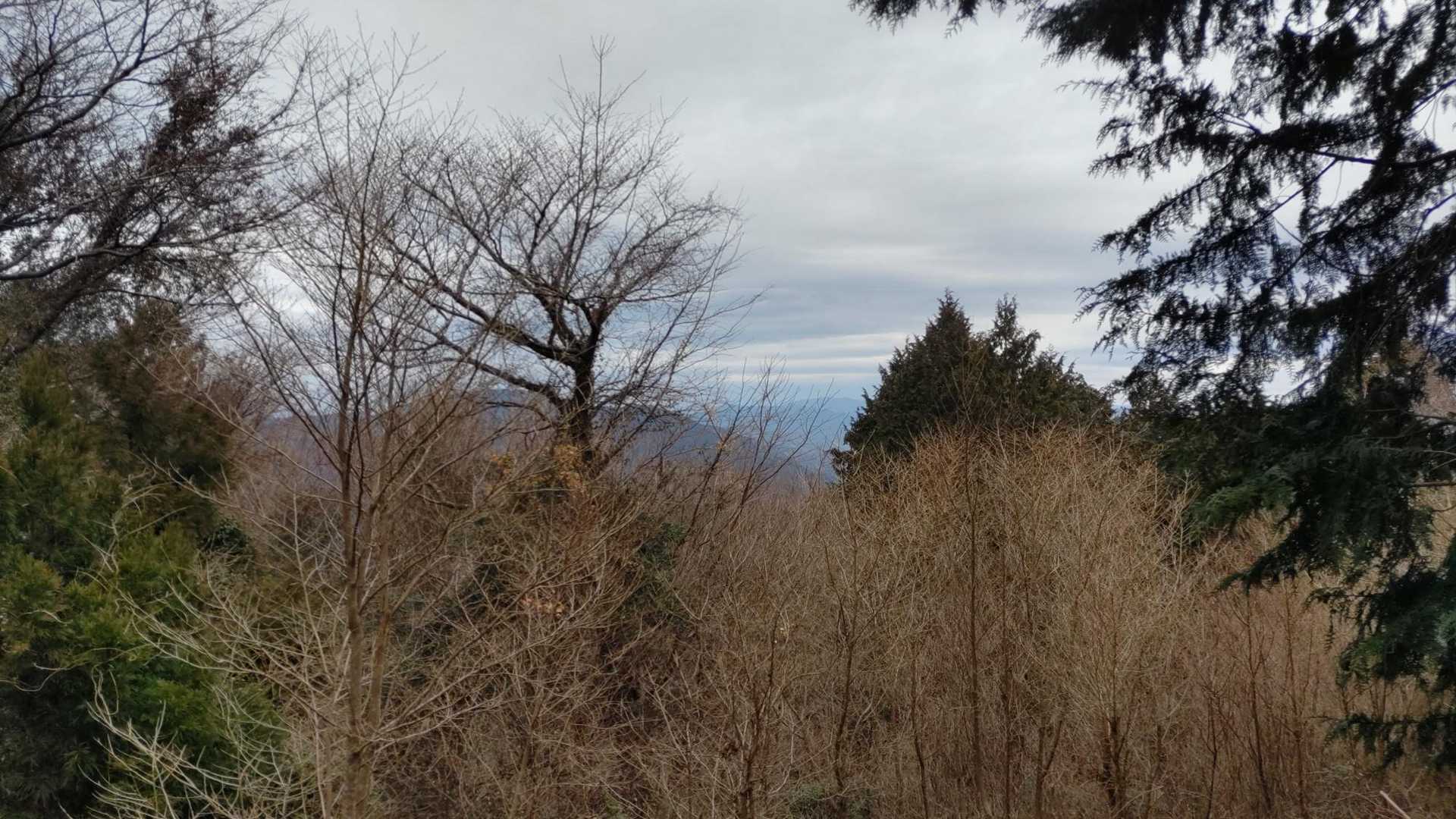 富幕山登山口-多利野山-狩宿山-黒松峠-下の浅間山-上の浅 往復コースの写真