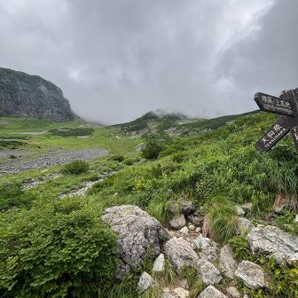 天狗原分岐