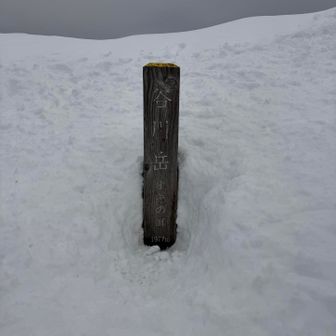 オキの耳登頂！
親切な人が「オキの耳」が見えるところまで掘ってくれている笑