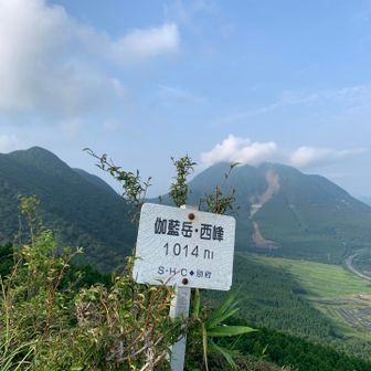 西峰山頂。