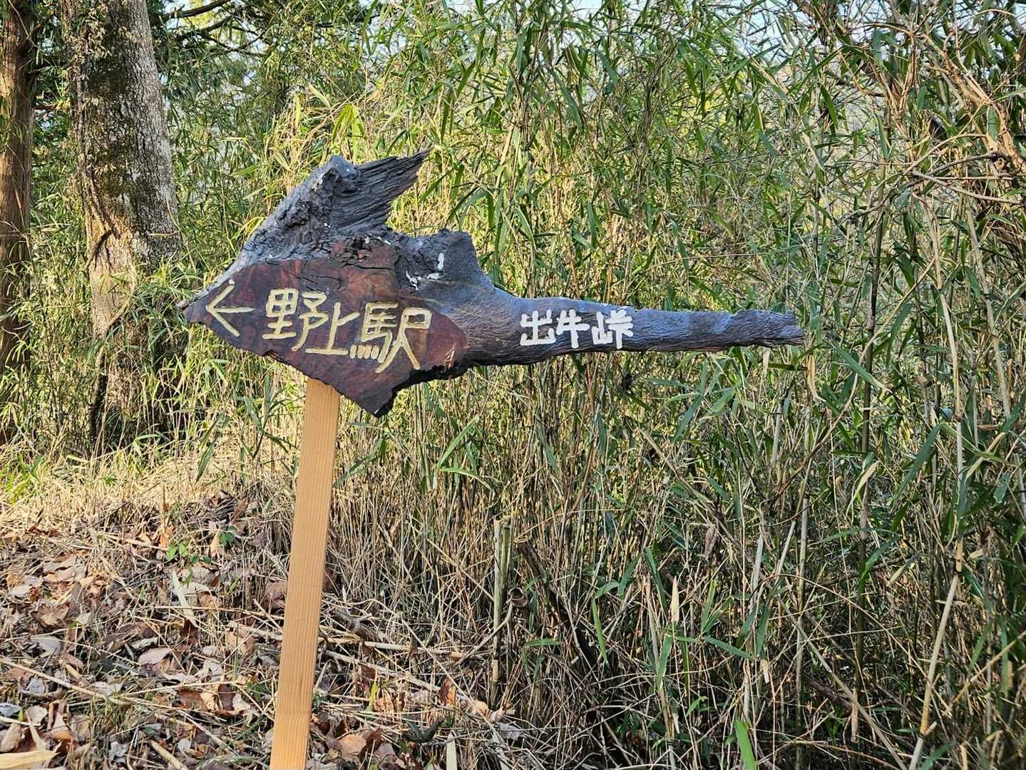 なんかオシャレ～