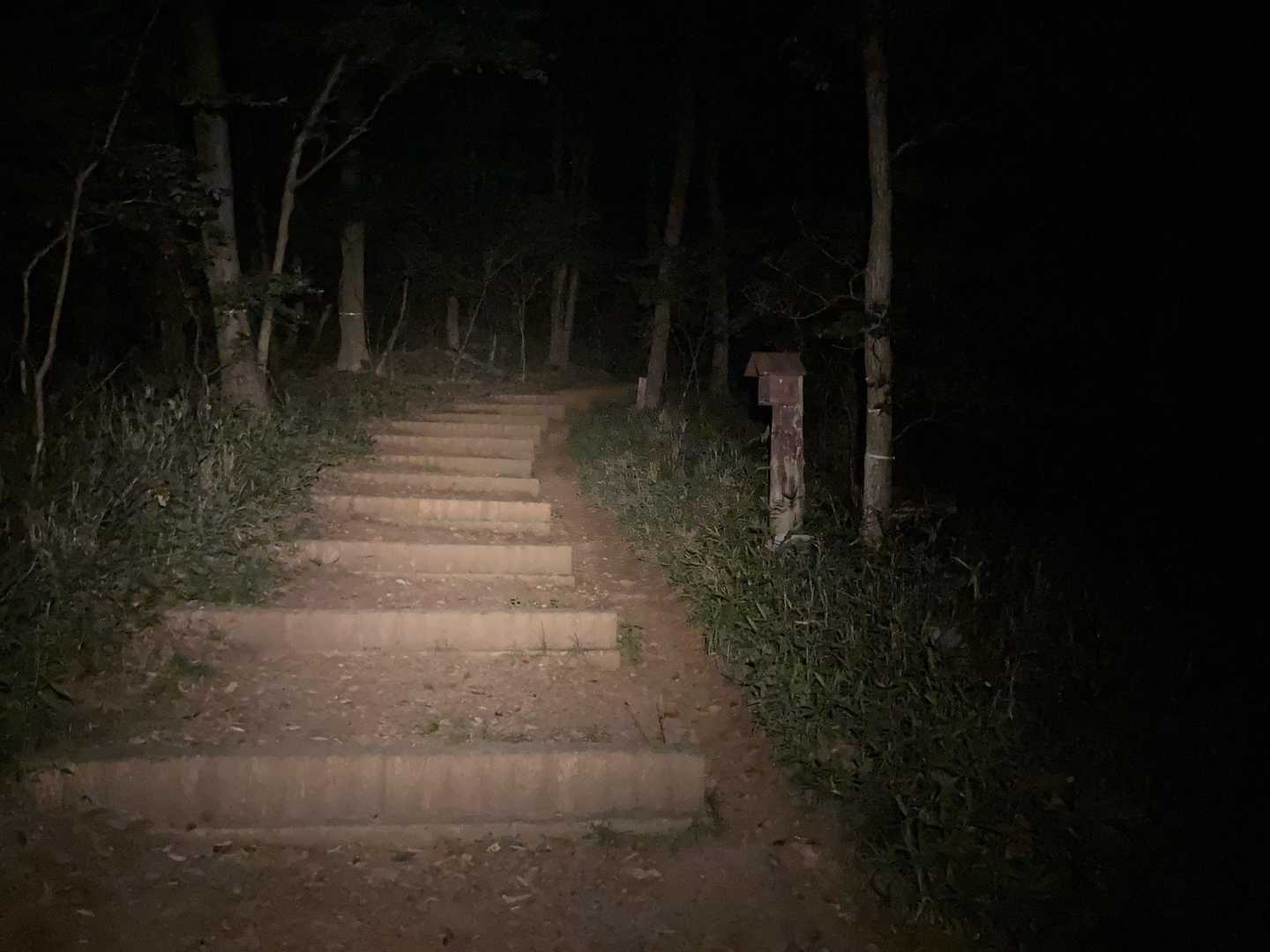 八王子山往復 | 街から歩ける白い巨岩の特等席、甲府盆地と富士山を見下ろす開放感の写真
