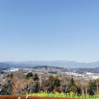 大山、二ノ塔・三ノ塔、塔ノ岳